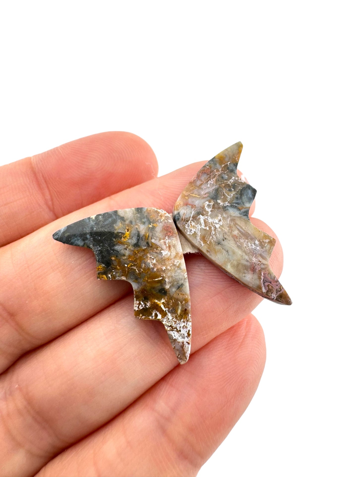 Picture Jasper - 99