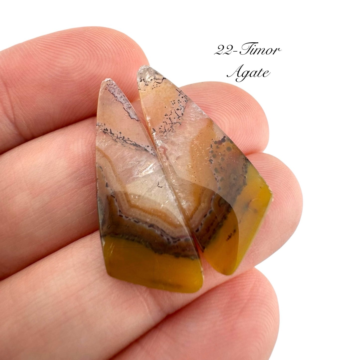 Timor Agate - 22