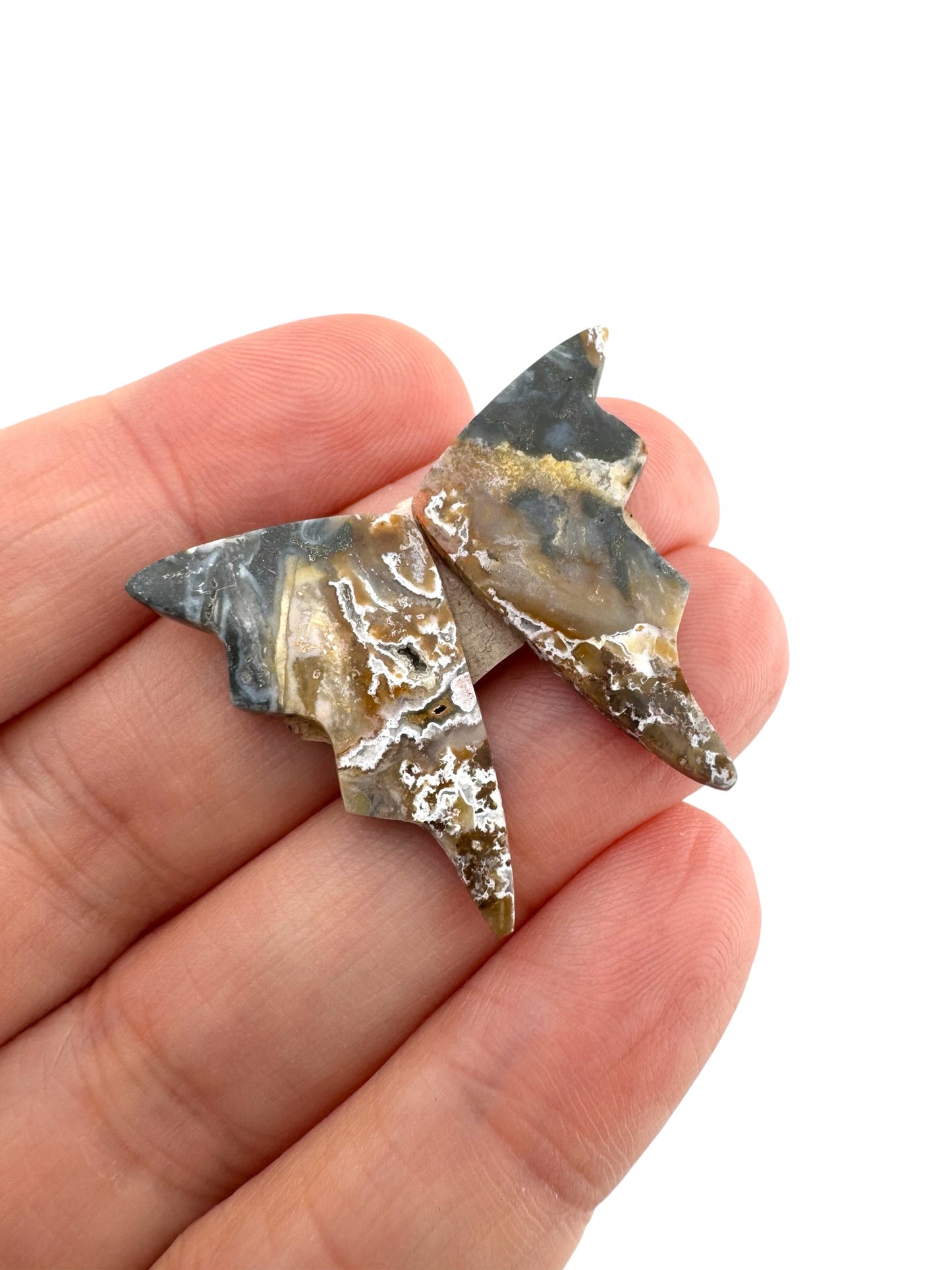 Picture Jasper - 136