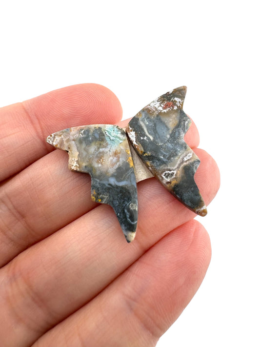 Picture Jasper - 141