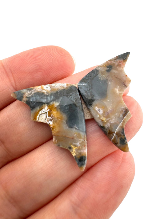 Picture Jasper - 142