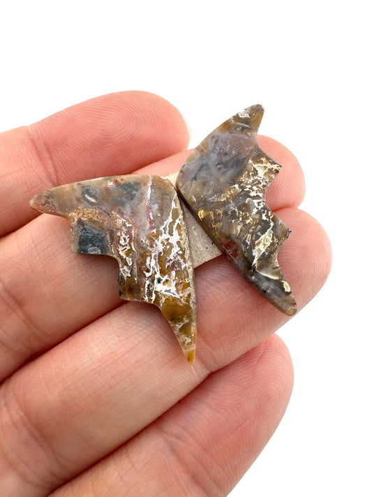 Picture Jasper - 176