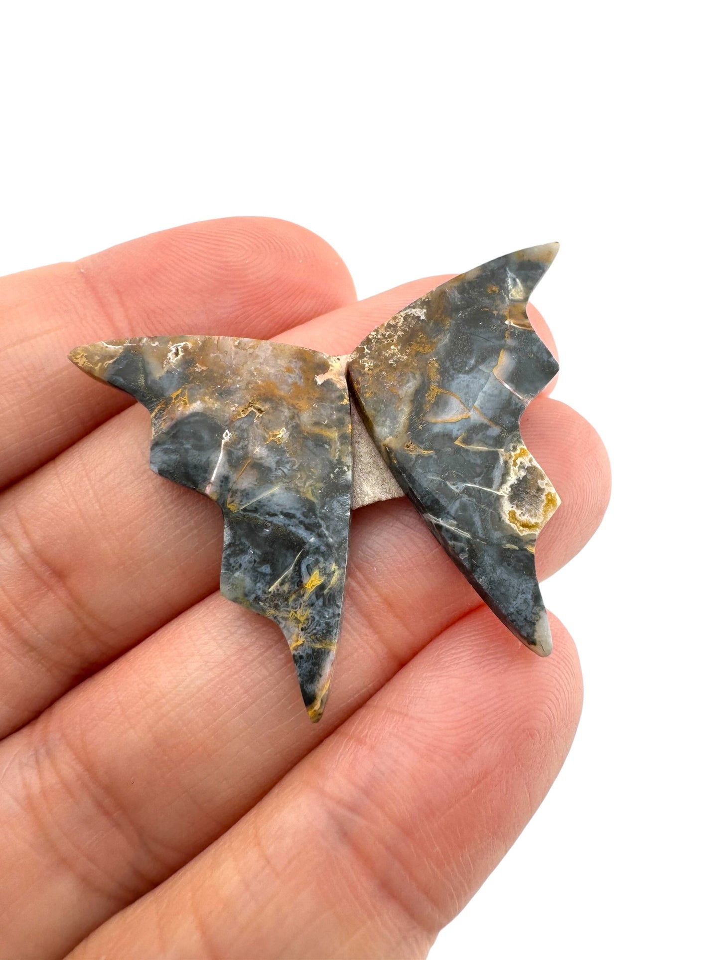 Picture Jasper - 178