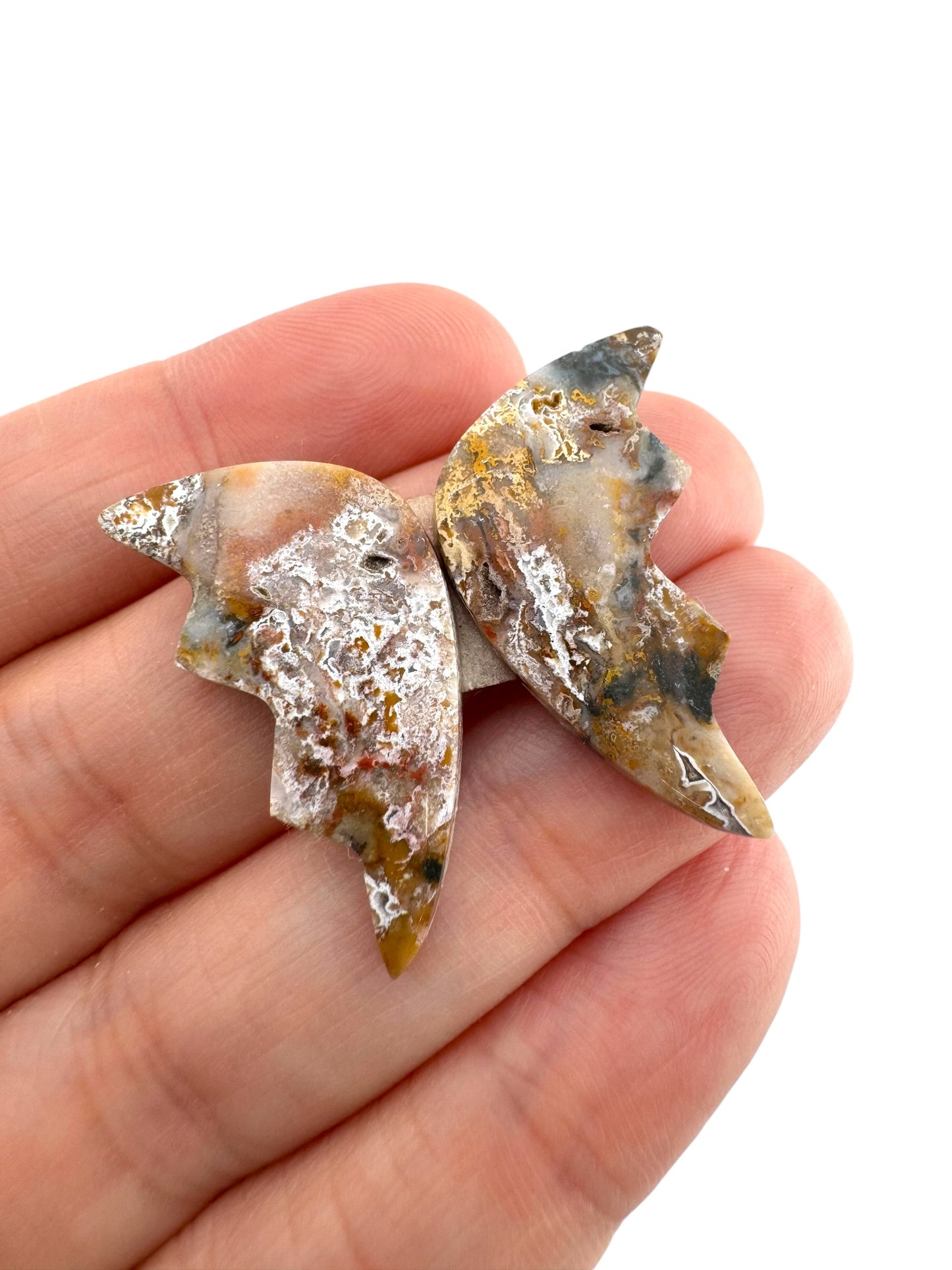 Picture Jasper - 52