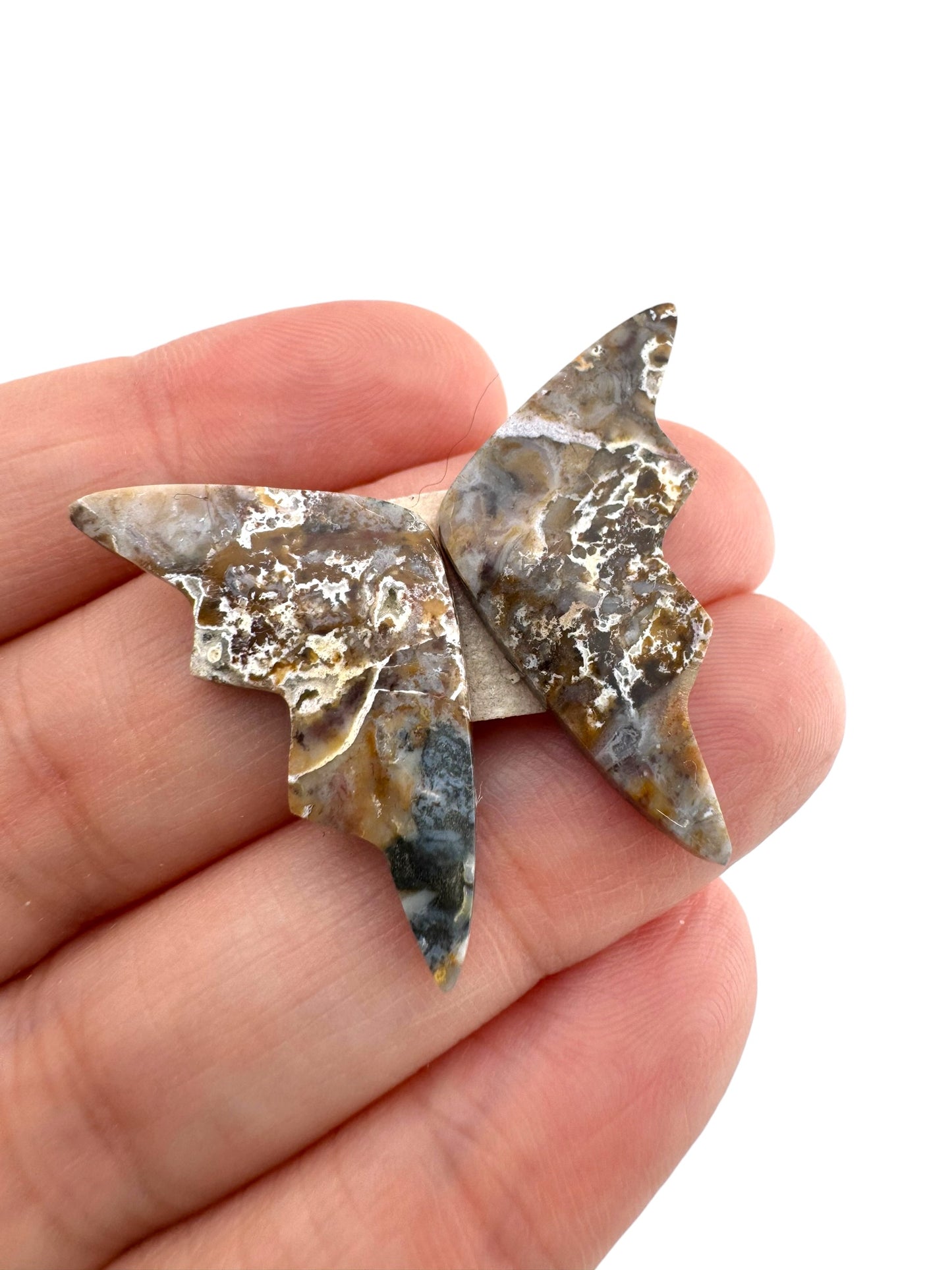 Picture Jasper - 54