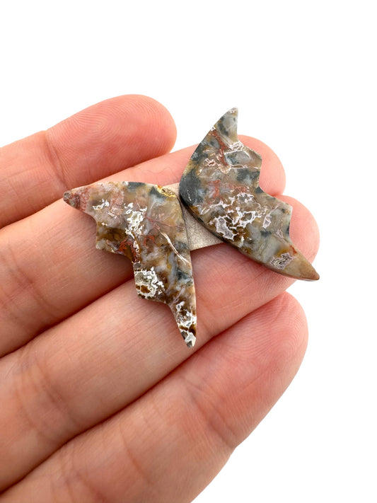 Picture Jasper  - 55