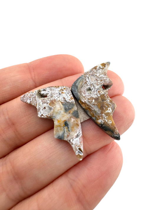 Picture Jasper- 56