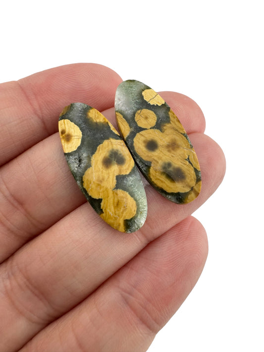 Ocean Jasper - 64