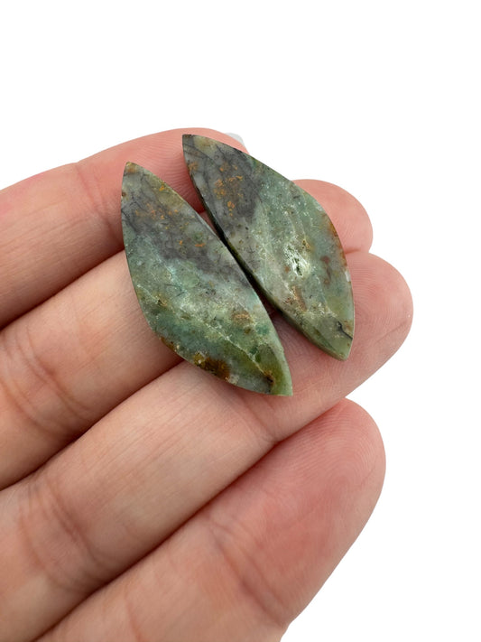 Petrified Wood - 74