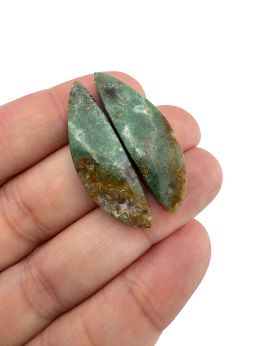 Petrified Wood  - 75