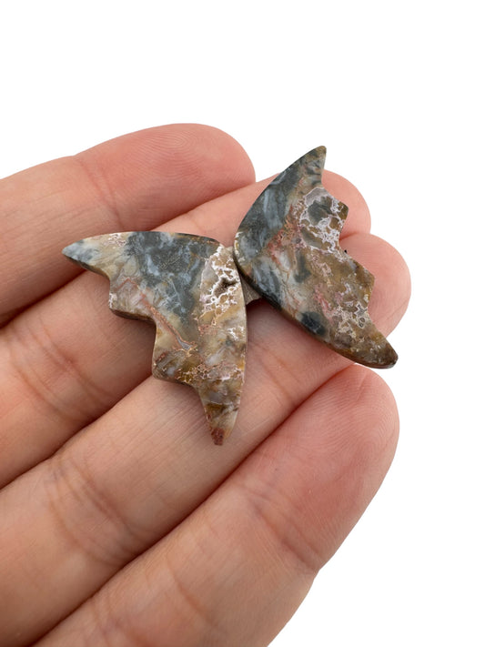 Picture Jasper - 92