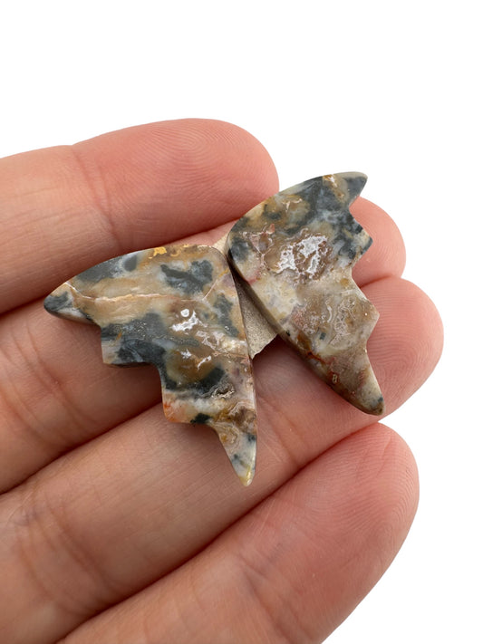 Picture Jasper - 93