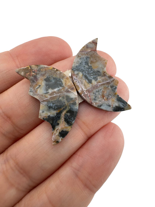 Picture Jasper - 95