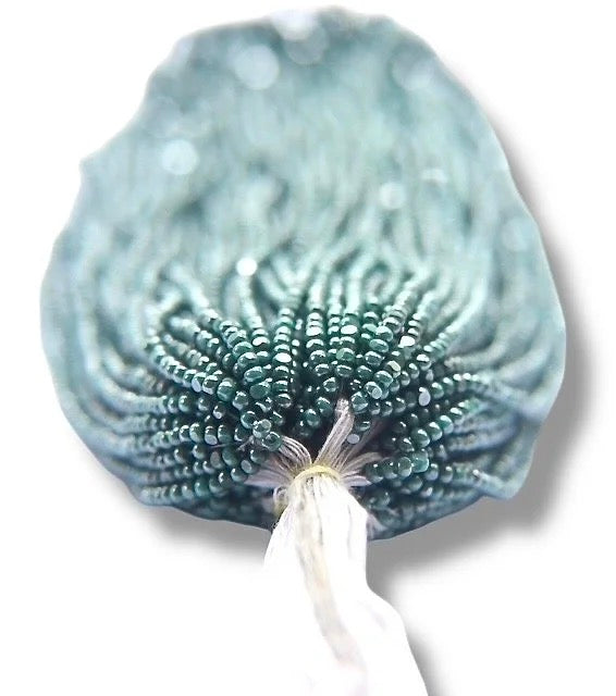 Ionized Opaque Aqua Green - 2-Cut Charlotte Cut Beads